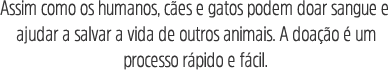 Assim como s humanos cães e gatos podem doar sangue e ajudar a salvar a vida de outros animais. A doação é um processo rápido e fácil