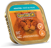 pate-cat-adulto