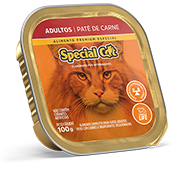 pate-cat-adulto