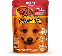 sache-dog-senior